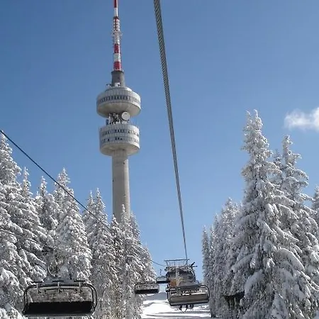 Апартамент Snezhanka *