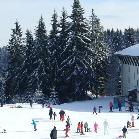Apartment Snezhanka Pamporovo