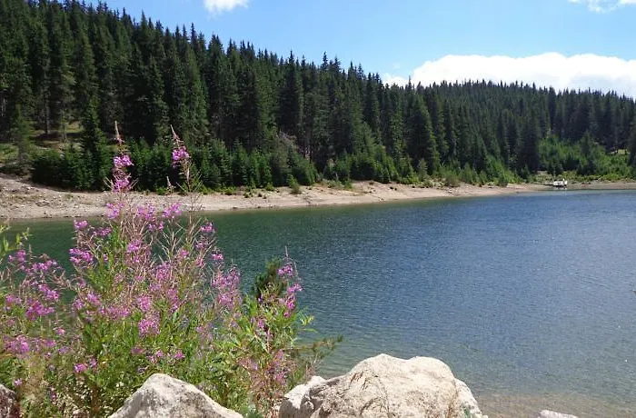 Lägenhet Snezhanka *